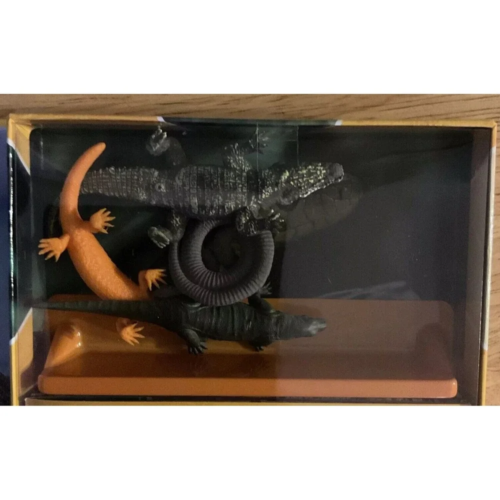 Pocket Explores Set Of 4 Book, Dinosaurs, Wild Cat,‎ Sharks, And Reptiles, 2021